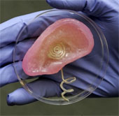 Creating artificial ear has superhuman hearing