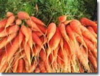 Creating carrots contains more calcium
