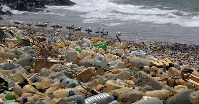 Creating plastic can decay in seawater