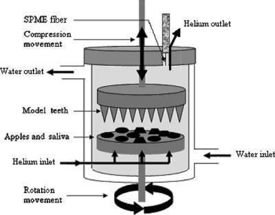 Creative artificial mouth for robots