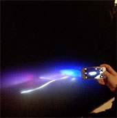 Creatures glowing mysteriously in American ports