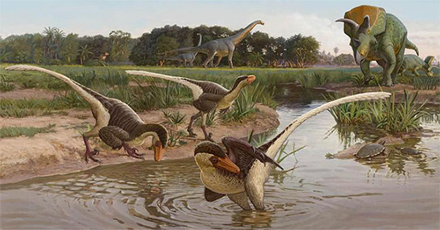 Cretaceous fossils reveal new dinosaurs