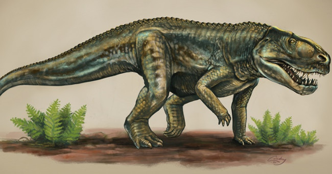 Crocodile cousins ​​appeared 212 million years ago