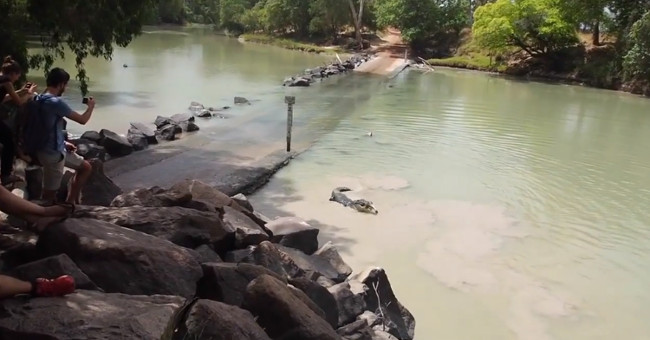 Crocodile snatches bait from anglers on the river of death