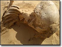 Cruel secrets behind an Egyptian city