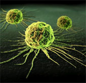 Cuba develops a new cancer treatment drug