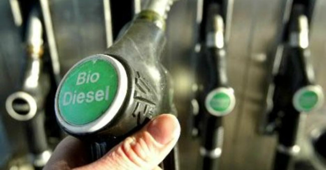 Cuba started piloting biodiesel production from the fence