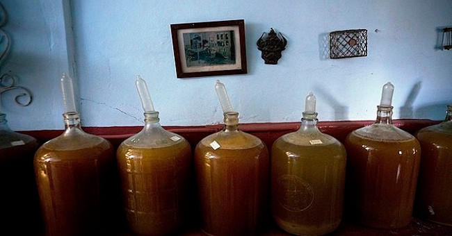 Cuban farmers use condoms to soak fruit wine