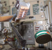 Culinary issues for astronauts