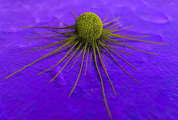 Cure cancer with ... magnets?