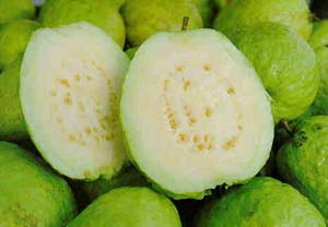 Cure diarrhea with guava