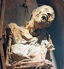 Cure obesity with ... mummy intestines
