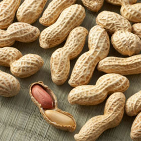 Cure peanut allergies with stickers