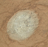 'Curious' cleaning dust on Mars rocks