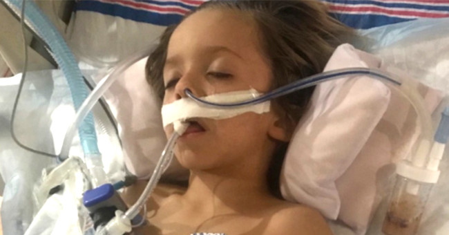 Curious to touch the bat in the garden, the 6-year-old boy suddenly died after a few days