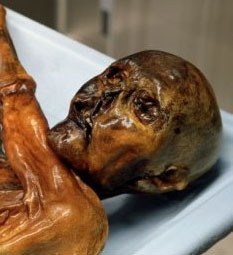 'Curse' horrors of corpses