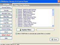 CyberSister: an effective web management utility