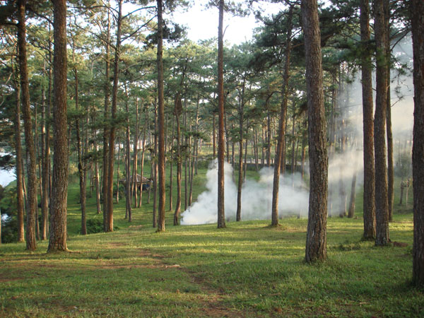 Da Lat is heating up