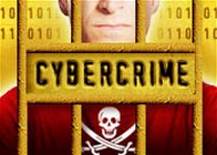 Damage caused by computer crime plummeted
