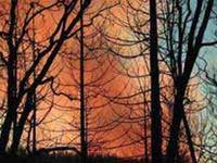 Damage of 40 billion USD / year due to climate change