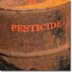 Danger from insecticidal chemicals