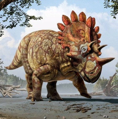 Dark matter is the cause of dinosaurs extinction?