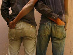 Darwin's evolutionary model explains male homosexuality