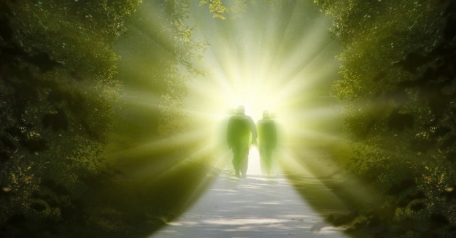 Dead and alive again - The phenomenon of wonder and explanation