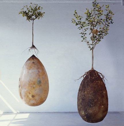 Dead people incarnate in green trees thanks to egg coffins