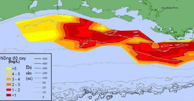 'Dead zone' in the Gulf of Mexico expands record