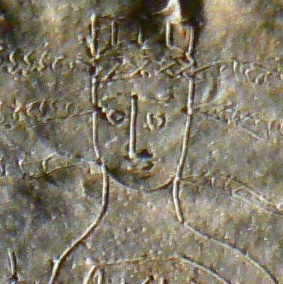 Decipher the curse of the snakehead 1600 years ago