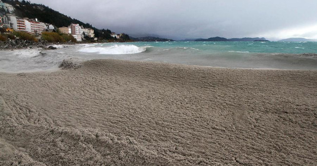 Decipher the mysterious stone capable of floating on the water