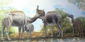 Decipher the mystery of the most strange creature ever discovered