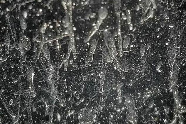 Decipher the mystery of
