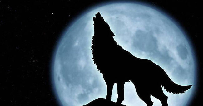 Deciphering 7 rumors - building nape hairs around the full moon