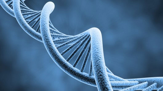 Decode cheap DNA