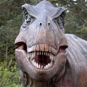 Decode secret million years of the most giant monster on Earth