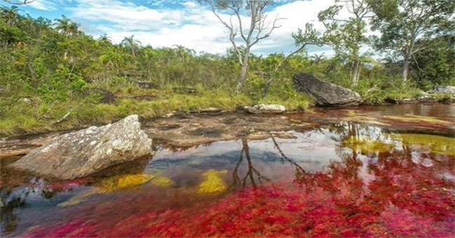 Decode strange natural phenomena that happen in autumn