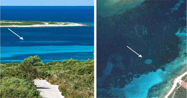 Decode the fairy circles in Danish waters