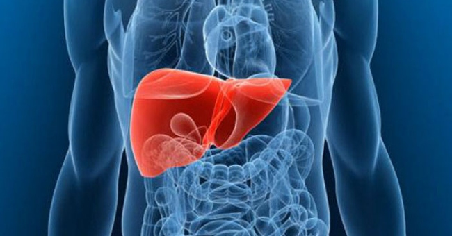 Decode the mysteries of the body