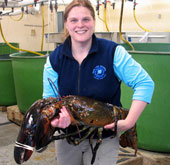 Decode the mysterious lobster age