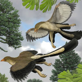 Decode the mystery of flying dinosaurs