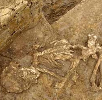 Decode tricks of mummification from the Bronze Age