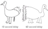 Decoding confused duck syndrome of dogs?