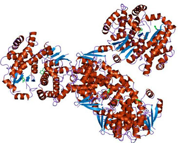 Decoding the gene sequence of pancreatic cancer
