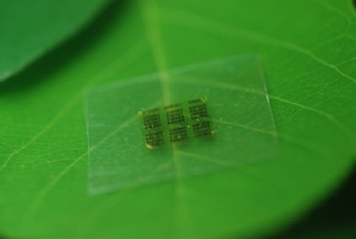 Decomposed computer chip made of wood