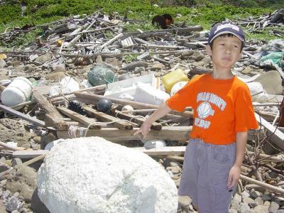 Decomposing ocean plastic produces toxic chemicals