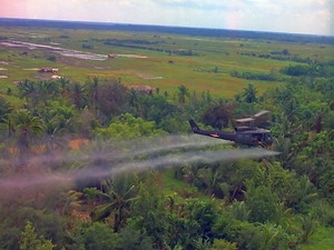 Decontamination of soil contaminated with dioxin by biodegradation