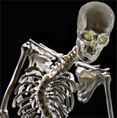 Delete oan for King Richard III
