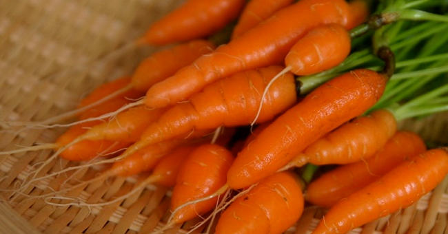 Delicious mini carrot cultivation at home